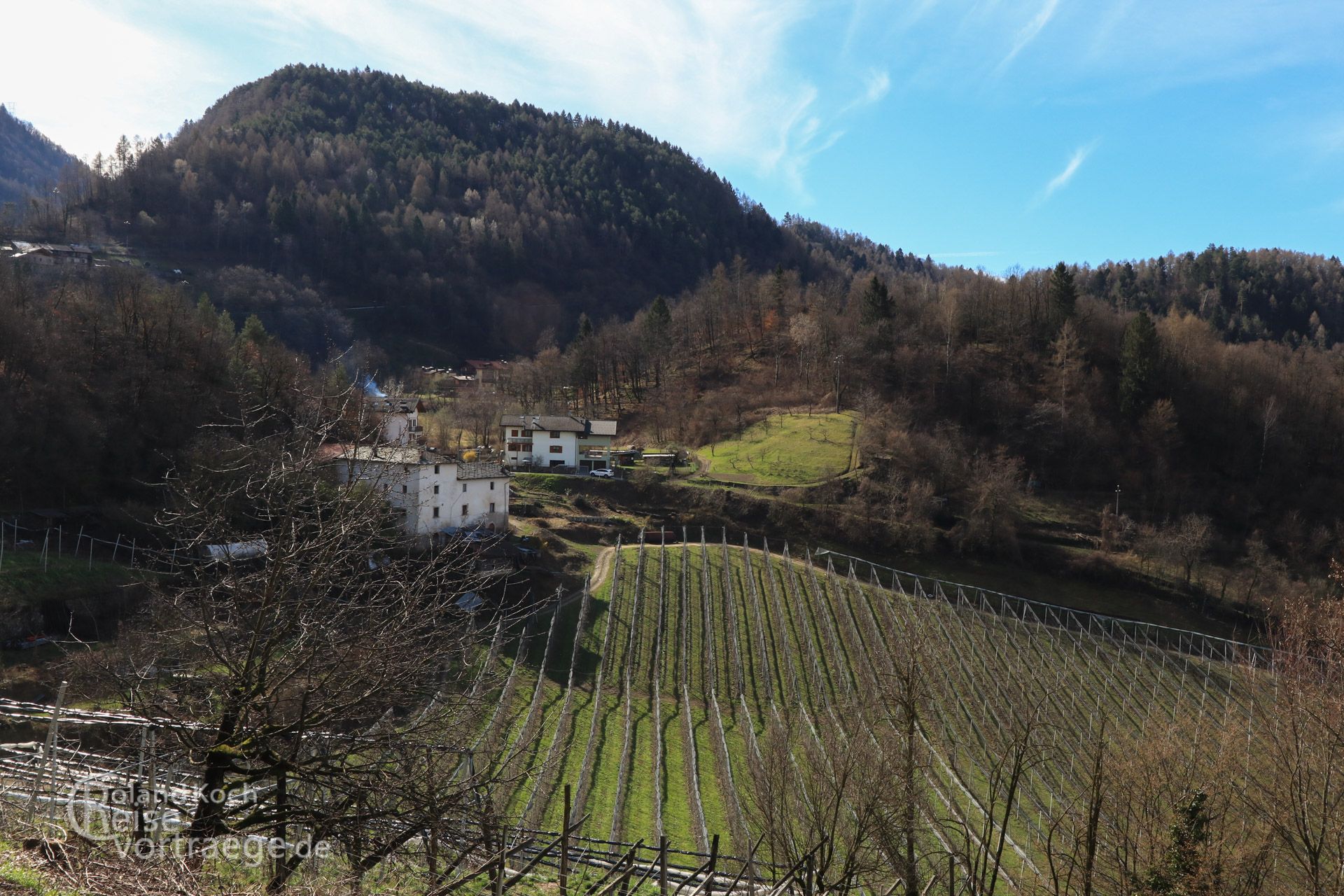 mit Kindern per Rad über die Alpen, Via Claudia Augusta, Weinberge bei Pergine